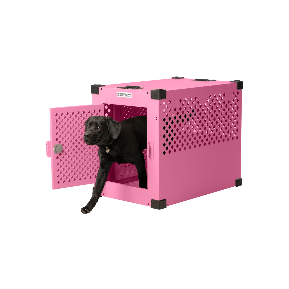 Stationary Dog Crate