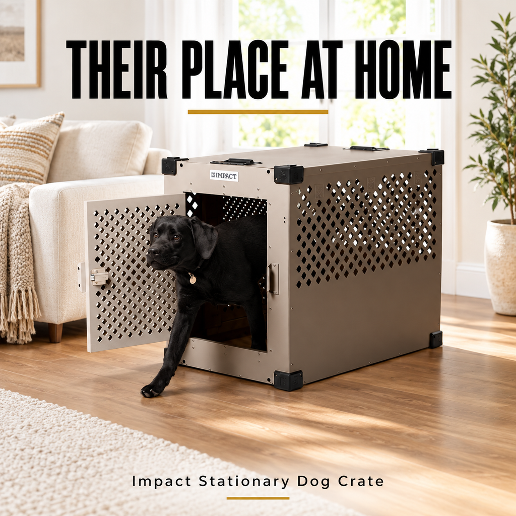 Stationary Dog Crate